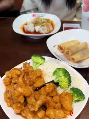 Nan Xiang Express in Raleigh, NC is soooo good I want all of the soup dumplings 🥟🧋 3000 Hillsborough St, Raleigh, NC 27607 #northcarolina #raleigh #raleighnc #raleighfood 