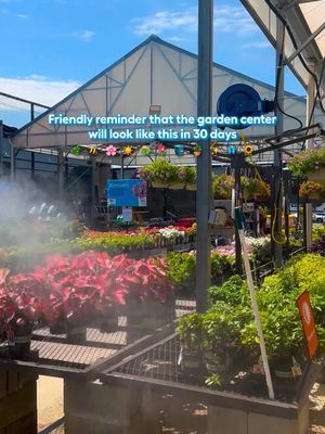 Counting down the days till life is full of freshly cut grass, spring flowers and Lowe’s runs that look like this 🌷🌱🐣 #springmood #springvibes #gardencenter 