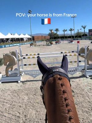 mon bébé dans la 1.40m hier 🧡 When I told him to slow down “doucement” he came back to me so nicely 🥹 Ruby is the best!! Vraîmemt le meilleur cheval dans tout le monde :) #equestrian #showjumping #horsegirl #horseshow @VOLTAIRE DESIGN 