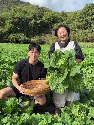 How A Kimchi Master Makes Kimchi #kimchi #koreanfood #howto #Recipe #foodtiktok 