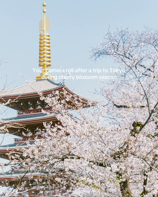Step into all things cherry blossoms – and back in time, with photographer Rintaro Kanemoto, who captured the blooms in Tokyo last year.  “During cherry blossom season, the atmosphere across the city softens,” Rintaro says. “No matter how urban the city is, cherry blossoms can be found all around, drawing people to them almost instinctively.” #tokyo #cherryblossom #tokyotrip #tokyotravel 