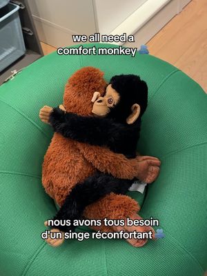 We get it Punch 🐒 ✨ Nous comprenons Punch 🐒 ✨ #KeepGoingPunch  #がんばれパンチ