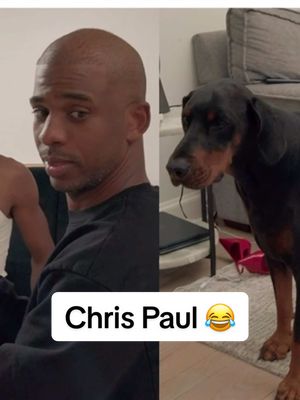 “Let me get out your way then.” 😂 Chris Paul really said ‘I’m out’ after he heard Shai Gilgeous-Alexander’s dog start growling 😭 📺 Starting 5: Season 2 #chrispaul #NBA #okcthunder #shaigilgeousalexander #sga 