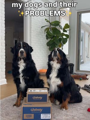 We are a ✨multi-problem✨ household | #ChewyPartner  @Chewy helps me manage all of my dogs' very different needs with trusted, vet-recommended vitamins and supplements, all in one place, delivered right to my door (via autoship, because I would absolutely forget to order them otherwise). Check out the link in our bio to get up to 50% off select vitamins and supplements on your first order with autoship! #ad 