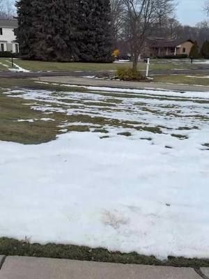 Beat the spring rush: Clear the debris for direct seed-to-soil contact, drop your dormant seed now, and let the freeze-thaw cycle do the heavy lifting for you.