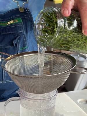 Make soda from pine needles! I call it Pine Needle Sprite. #sprite #soda #pine #foraging  