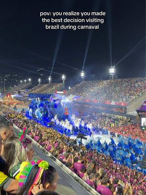 this is your sign to start planning for next year !!! 🇧🇷🦚🕺🏻💟 #brazil #carnaval 