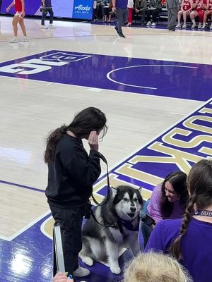 this game pres stuff is easy #dubs #husky #huskytalk #dogsoftiktok #gohuskies