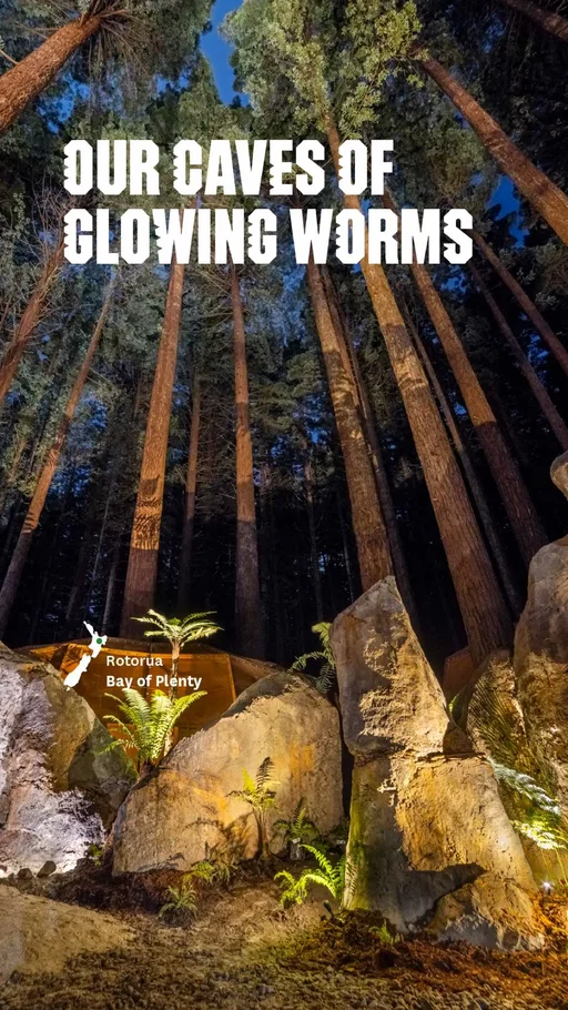 Who knew something so small could create such a big moment. You’ll find glowworms lighting up caves, underground rivers and even quiet inner-city banks across Aotearoa New Zealand. ✨   📍@RedwoodsRotorua, Rotorua 📍Underworld Adventures, West Coast 📍@SocialNatureMovement, Auckland 📍@RealNZ, Fiordland 📍@WaimarinoKayakTours, Tauranga 📍@WaitomoGlowwormCaves, Waikato   #NZMustDo #NZBucketList#FEEL100inNZ   👉@Rotorua_NZ @WestCoastNewZealand @Visit_Auckland, Fiordland, @WaikatoNZ👈