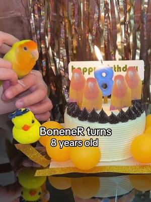 HBD baby BoneneR 🥳🎂✨ #bonener #lovebird #lovebirds #birdsoftiktok #parrotsoftiktok 
