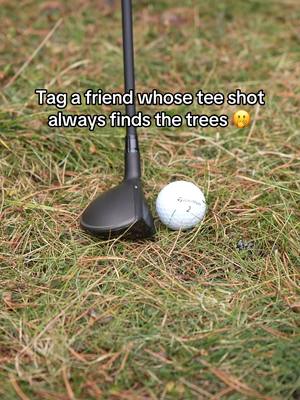 They might need this club…Link in bio to learn more. #Qi4DHybrid