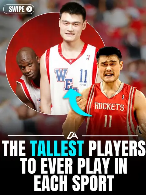 Some athletes are tall. And then there’s this level of tall. From 7’7” Gheorghe Mureșan in the NBA to 7’0” Richard Sligh in the NFL… from 7’2” Dmitriy Muserskiy dominating volleyball to 7’2” Margo Dydek in the WNBA… every sport has had a true giant step onto the field, court, or ice. Imagine lining up across from a 6’11” pitcher like Jon Rauch. Or trying to score on 6’9” Zdeno Chára. Or returning a serve from 6’11” Ivo Karlović. Some of these matchups probably felt unfair. Which one of these heights surprised you the most?  We post the most interesting sports content 🏆  #sports #athletes 