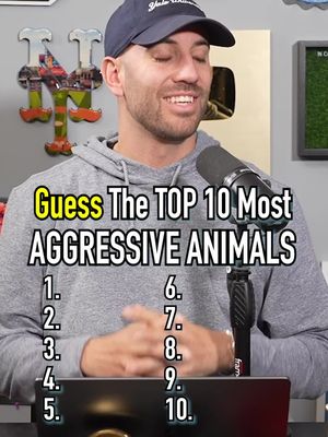TOP 10 Most AGGRESSIVE ANIMALS On The Planet! #fyp #animals #safari #animal #pets 