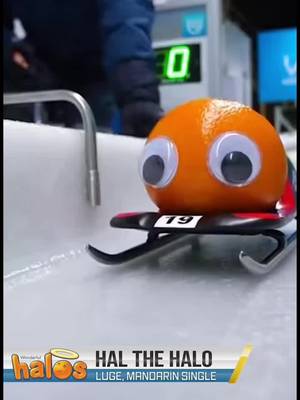 ya win some, ya luge some #sweet #luge