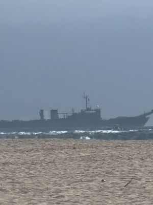 They deployed a military ship #puertovallarta #puertovallartajalisco #puertovallartamexico 