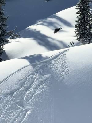 First pow day back after my injury, and first backy too 🚀