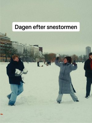 Jeg er ikke helt færdig med at romantisere vinteren i København.  Jeg har tidligere hadet vinter og så det blot som et nødvendigt onde ved at bo i Danmark, men efter jeg har begyndt at tage billeder og har skærpet min evne til at bemærke små øjeblikke, har jeg også lært at sætte pris på vinteren på en helt anden måde.  Jeg forsøger også at se det i det perspektiv, at hver årstid gør, at vi værdsætter den næste mere. Jeg har prøvet at bo et sted uden årstider og jeg ved godt, hvad jeg selv vil foretrække. Så vinteren er ikke længere noget jeg bare vil have overstået. Altså indtil en vis grænse. Og den er nok ved at være nået nu, for jeg kan mærke længslen efter foråret.  Jeg har dog lidt mere på lager fra den sidste meget kolde måned, så I må bære over med, at jeg rent visuelt lige forlænger vinteren lidt. #copenhagen #snowstorm #københavn 