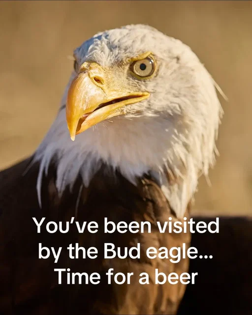 If you weren’t inspired to have a beer… now you are.  @AEFEagles 
