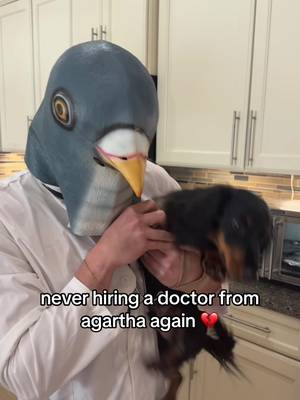 never hire a doctor from agartha 💔 #agartha #pigeon #pigeondoctor #fyp 