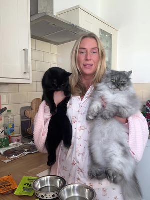 AD Making sure my babies have the best chance at a long and healthy life @KatKin.Club Use my discount code ‘WOLFIE50’ for 50% off your first box 🔗 in bio #katkin #catsoftiktok #mumsoftiktok #persian #singlemumlife 