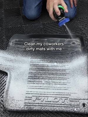 FRESH Carpet & Mats Cleaner did the heavy lifting. #cleaning #CleanTok #asmr #satisfying