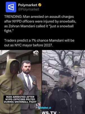 A man was arrested after a snowball fight in Manhattan, prompting criticism from Zohran Mamdani, who said the response was “an absurd misuse of police resources.”
