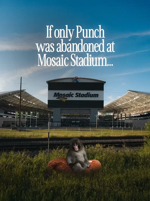 #saskatchewanroughriders #fyp #punch #ridernation  #EmClimaUltraLeve 