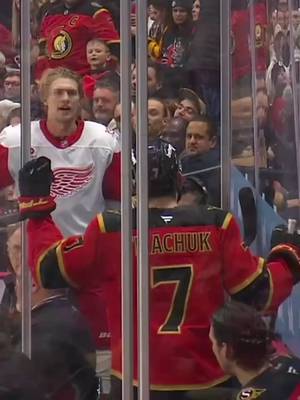 Things are getting a bit chippy in the box. 👊 #nhlonprime #NHL #hockey #detroitredwings #ottawasenators