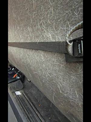 Ford F250 transformed to like new! Exterior Detail with Iron remover and clay bar treatment. Our Level 2 Interior Detail with pet hair removal. Give us a call and fall back in love with your vehicle. Thank you to @detailsupplyguysllc for the great @Stinger Chemical products! #detailinglife #appearanceprodetailing #foryoupage #worktruck #f250superduty 