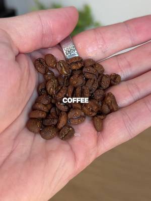 Why you should spray your coffee 