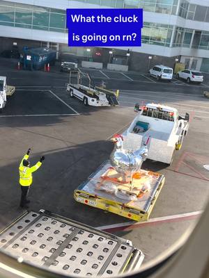 I guess chickens ~do~ fly ?? 🐔🪩 #HoustonRodeo #Denver #Aircraft #DiscoChicken #UnitedAirlines
