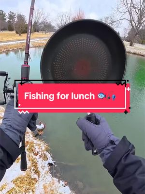 Fishing for my LUNCH 🐟🎣 #fishing 