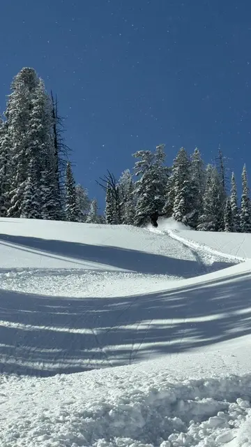 Dreamlike snow conditions… i dunno if it gets better than this 🙏