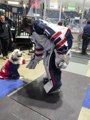 Post warmup fist bumps from Henry are the best!!! 🐶🤜🤛  #hockeydogs #saginawspirit #ohlhockey #saginawmichigan #hockey 
