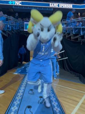 RAMESES BRINGING THAT ENERGY ⚡️ @Rameses & RJ  #goheels #unc #gdtbath #mascot #fyp 