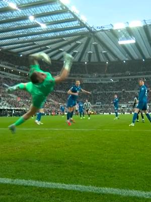 Jordan Pickford's WORLD-CLASS save from Sandro Tonali's volley! 🤯 #everton #newcastle #premierleague #football #jordanpickford