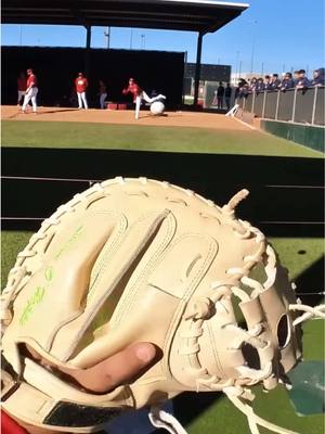 👀 from behind the plate 