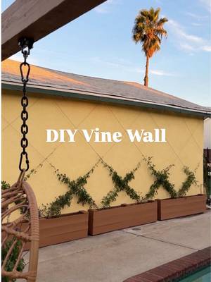 Let Operation Mystery Flower Commence! 🫡🌸 🥵We have tried putting seating up against this wall as well as a grill area, but we just end up just dripping in sweat because the sun beats down on here all day long! 🌱So I looked up some vining plants that thrive in full sun and found that jasmine would do great! Now we just have to run an irrigation line to keep these guys alive!  ❓Next up is the last section of the side of the house where I want to add hanging flowers and touch up the paint, so would you paint the doors green like the window trim? Or should I just paint the trim green? 🧖🏼‍♀️After that is our Sauna Wellness area where we’re so exited to be installing @decks for the base of it all but we don’t have a sauna picked out yet, so let me know if you have any recommendations!!  #backyardmakeover #vines #sauna #outdoorsauna #homewellness 