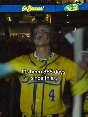 In case anyone forgot 🤭 a lot can change in a year 😇 #fyp #kj #paparazzi #savannahbananas #miami 