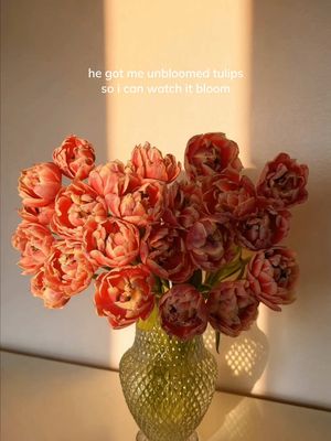 Waiting is the hardest part. #tulips #tulipseason #relationships #relationshipgoals #couples 