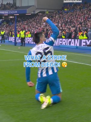 What a strike… 😮‍💨💫 #DiegoGomez #BHAFC #PremierLeague