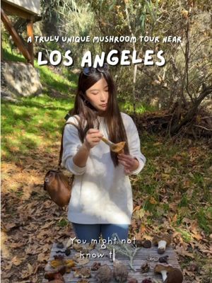 Have you heard of the mushroom-picking tour near Los Angeles? 🍄 Hike into the mountains, learn how to identify wild mushrooms, and pick them fresh, then enjoy a forest-to-table feast prepared on site. It’s more than picking mushrooms. It’s a unique outdoor culinary experience. 🌿 Best time: March 📍 Topanga ( near Los Angeles)  There might be a tour in NorCal and Seattle soon. 🌿 March Schedule (Topanga) 🍄 Mushroom Tours & Tastings March 8 March 14 & 15 March 22 & 29 💰 $70 🍽 Forest & Farm-To-Table Pop-Up Dinner Series (Topanga) March 21 & 28 💰 $200 2:00–7:00 PM (Plants & fungi walk included) ✨ April dates coming soon — stay tuned! DM @Farr&Wild to book ✨ #california #thingstodo #hiddengems #losangeles #thingstodoinla Things to do near Los Angeles. Hidden gem place near Los Angeles. Topanga mushroom tour, California mushroom season.