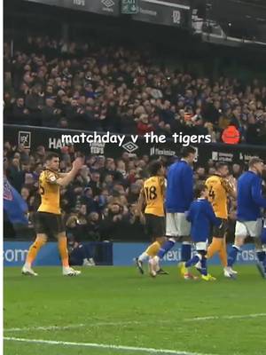 Suffolk punched x  #ipswichtown #brainrot #67 