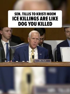 Sen. Thom Tillis RIPPED into DHS Secretary Kristi Noem during a congressional hearing, comparing American citizens killed by immigration agents to a dog she killed. 💥 MORE AT LINK IN BIO 🎥
