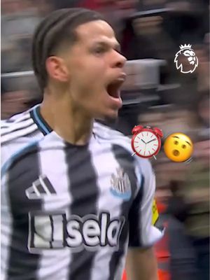 St James’ Park erupted after William Osula’s stunning late winner 🤩 @Newcastle United #PremierLeague 