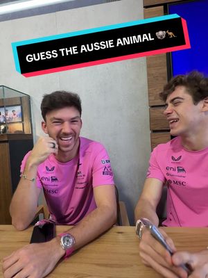 "that'll do pig" - Pierre, probably 😅 #f1 #alpinef1 #pierregasly #francocolapinto 