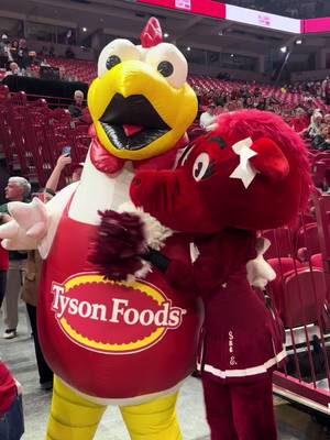 ICYMI: here’s all the excitement of our Arkansa Razorbacks announcement, rolled into one video. Looking forward to seeing our landmark athletics sponsorship come to life in support of our community, the students and our nutrition protein. ✨🤝 #arkansas #razorbacks #fyp 