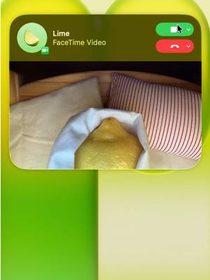hello?