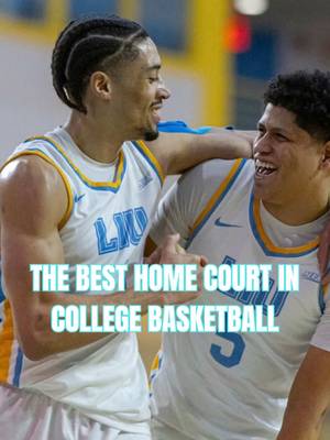 The LIU Sharks have the best home court in College Basketball #cbb #collegebasketball #ncaabasketball #greenscreen #greenscreenvideo 