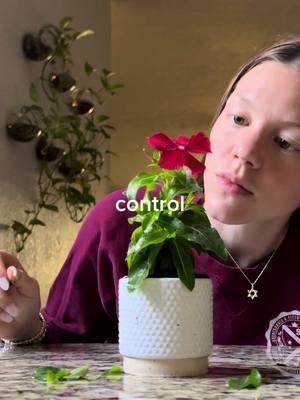 🥀